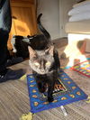 Betty