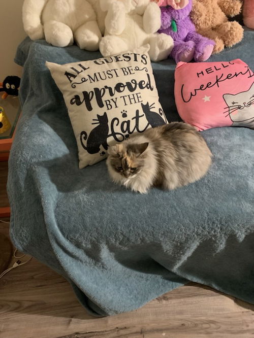 Lilly P.