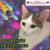 Asteroid Destroyer