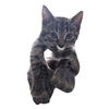 Stubby
