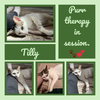 Tilly