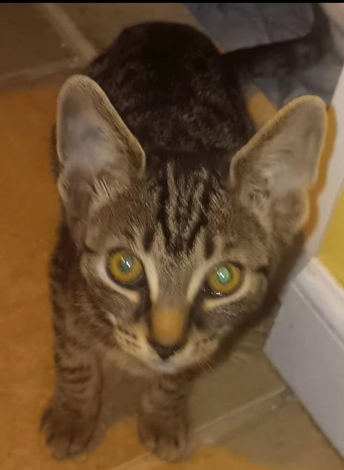 Giovanni