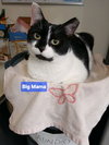 Big Mama