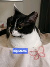 Big Mama