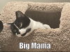 Big Mama