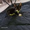 Benita