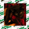 Junior Mint