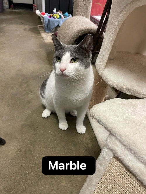 Marble