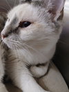 Katie