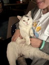 Casper
