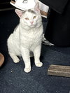Casper