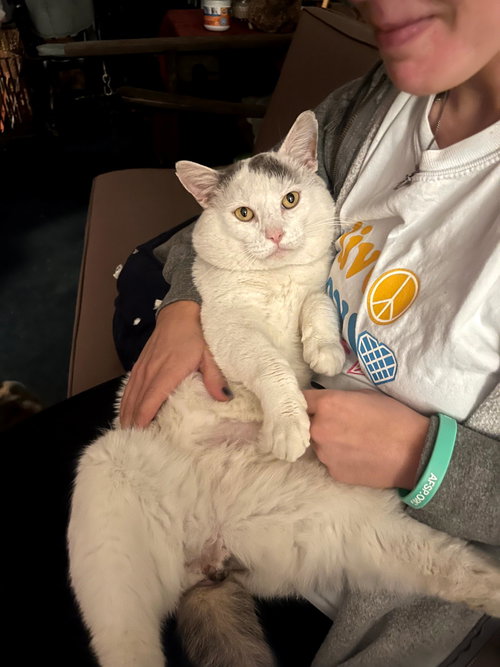 Casper