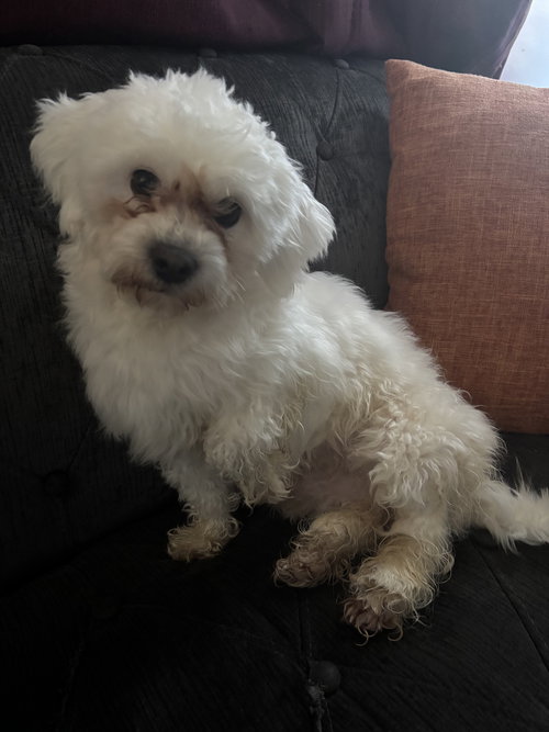 Max