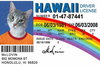 McLovin