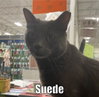 Suede