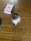 Murphy