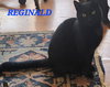 Reginald