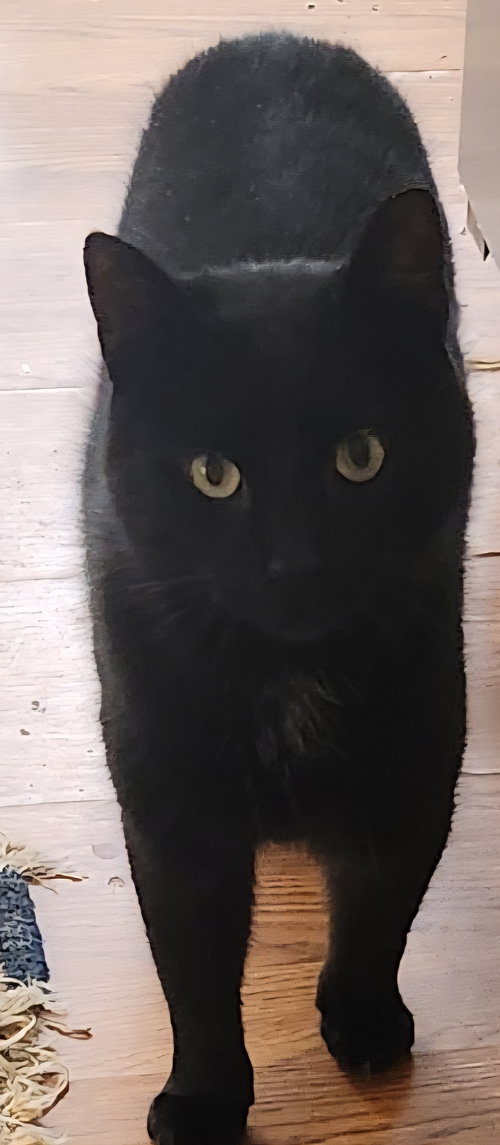 Reginald
