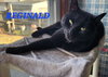 Reginald