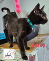 Leslie - Photo 4