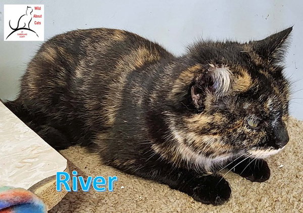 River