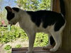 Everett - Photo 4