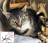 Joy - Photo 2