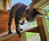 Ruthie - Photo 3