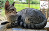 Chance - Photo 2