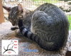 Chance - Photo 4