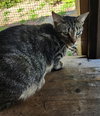 Chance - Photo 3