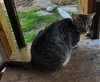 Chance - Photo 4