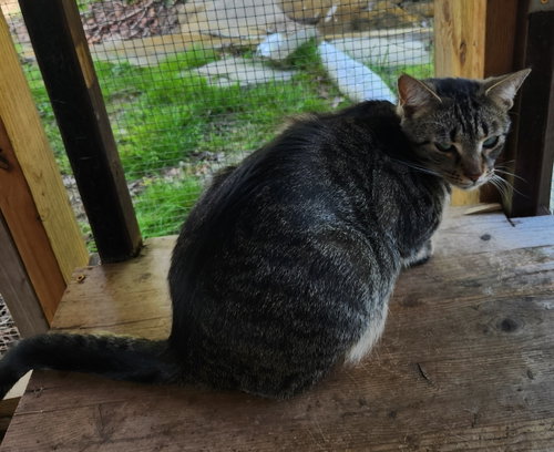 Photo 4 of Chance
