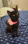 Meredith - Photo 1