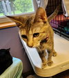 Spunky - Photo 3