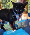 Zoey - Photo 2