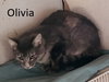 Olivia - Photo 1