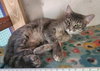 Olivia - Photo 4