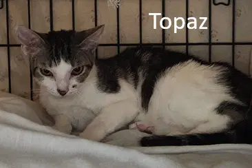 Topaz image 3