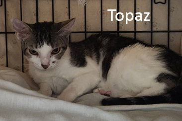 Photo 3 of Topaz