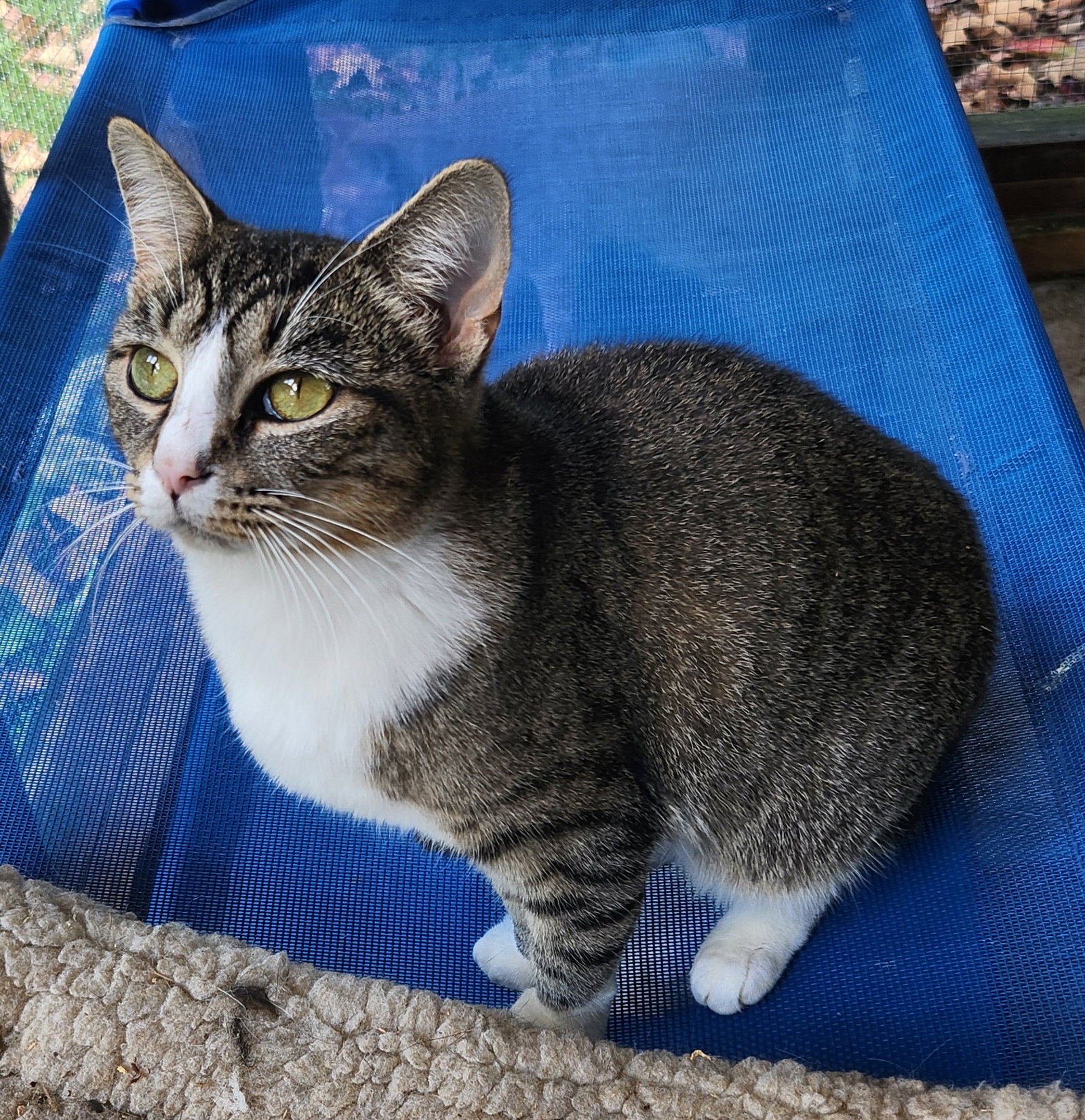Missy Mae, photo 2
