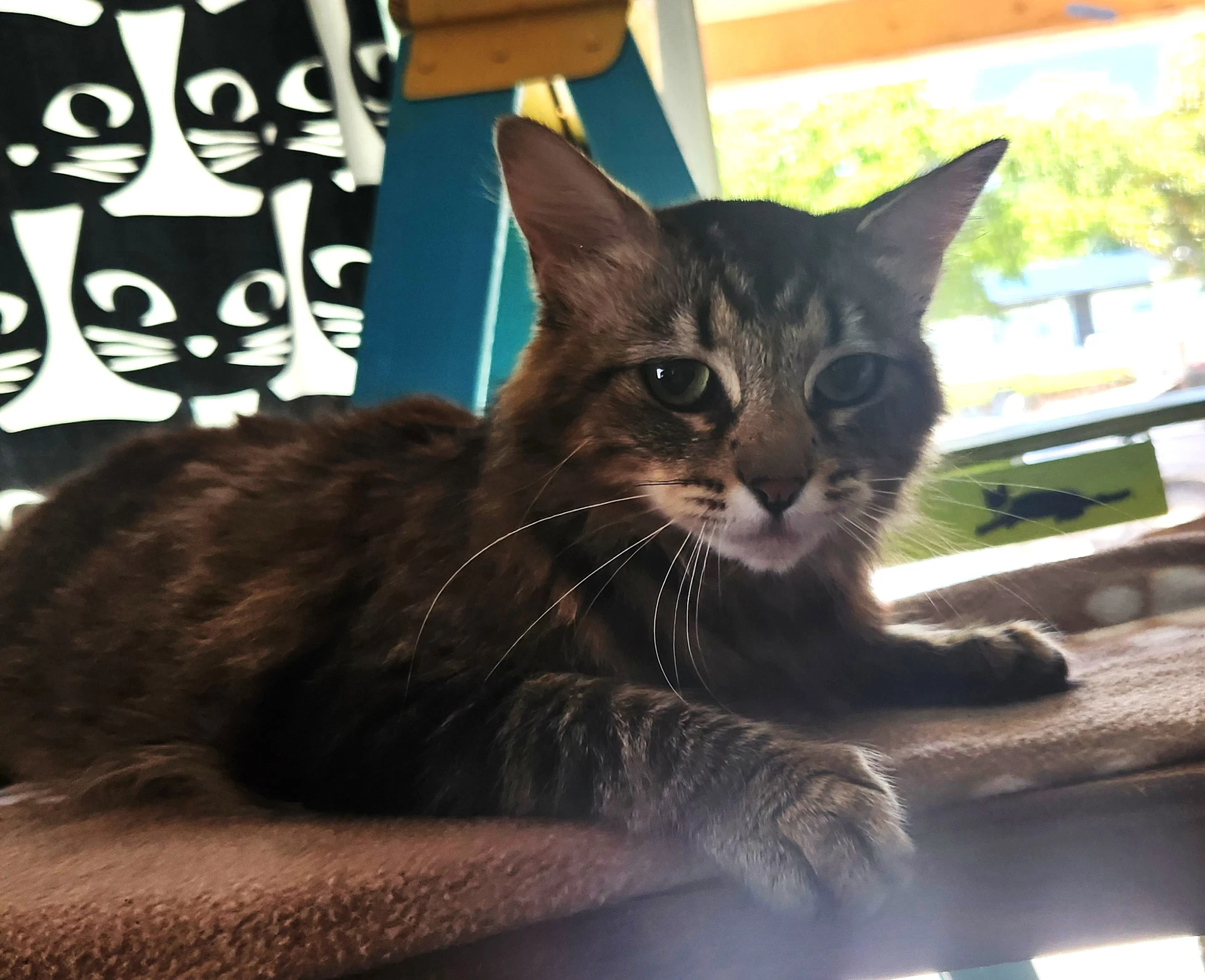 Penny