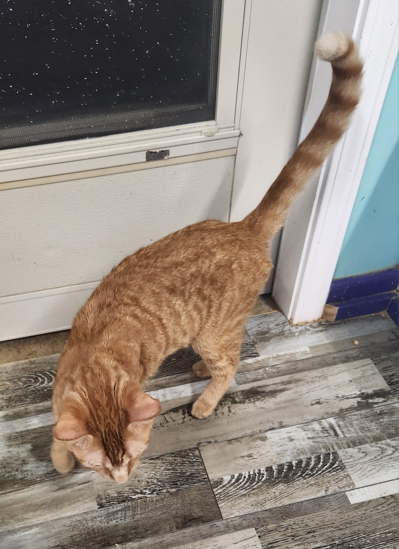 Babe, photo 3