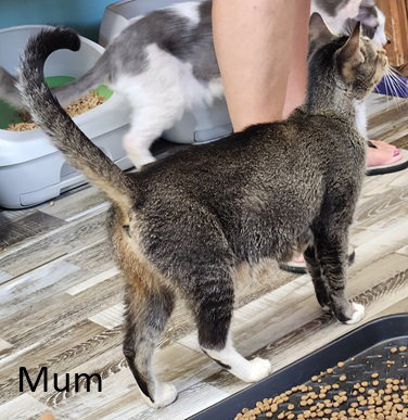 Mum, photo 4