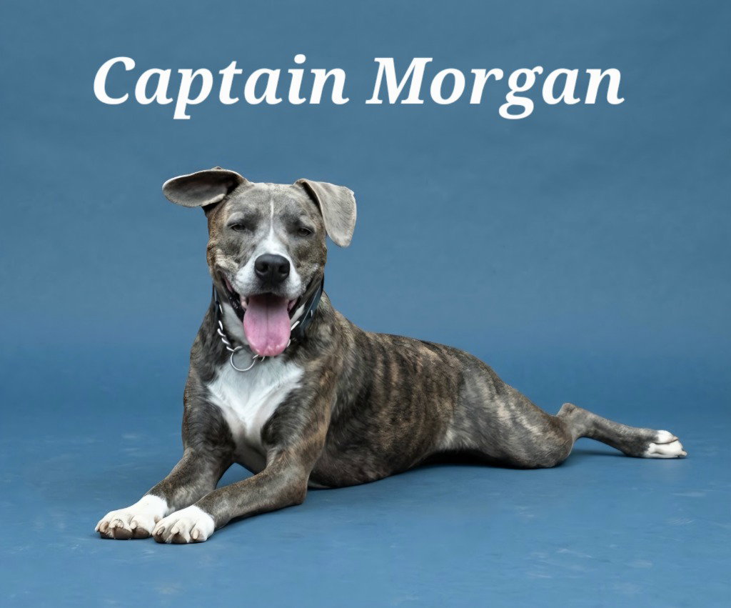 Captain Morgan, photo 2