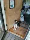 Patches (Courtesy Post) - Photo 2