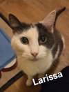 Larissa - Photo 2