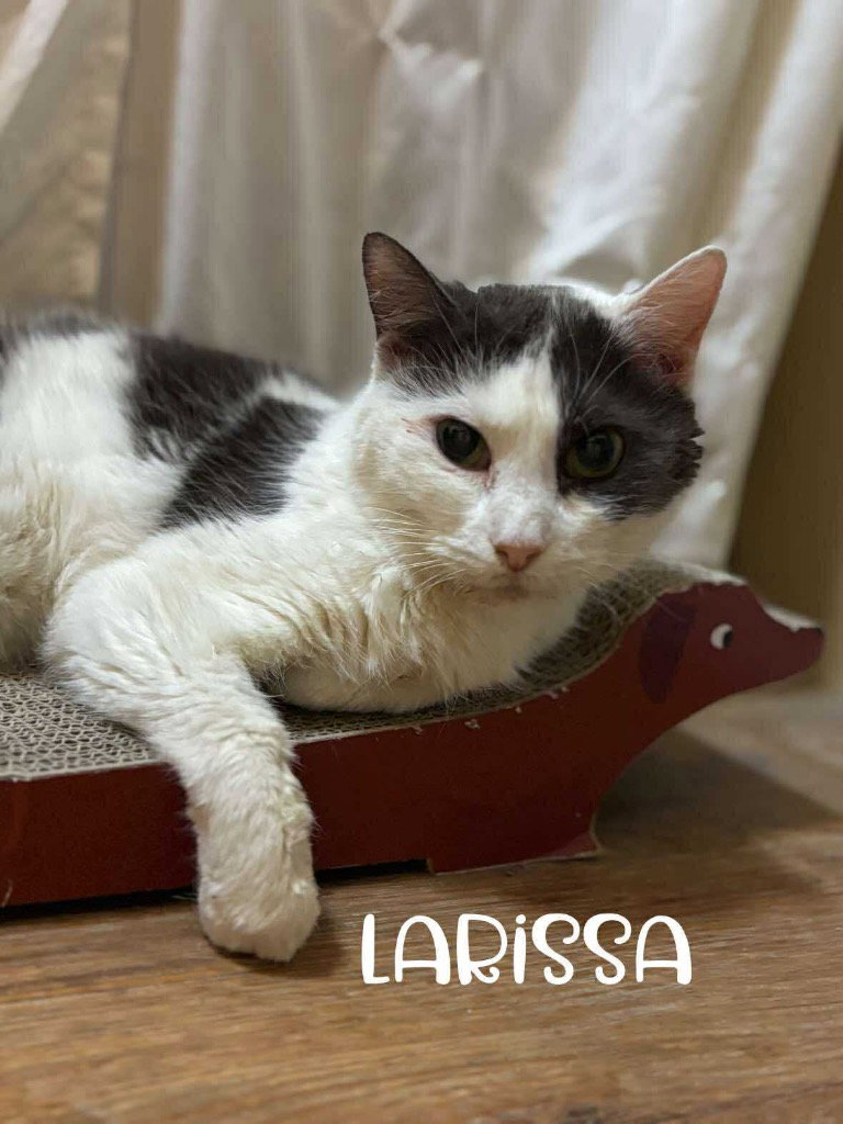 Larissa
