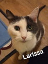 Larissa - Photo 3
