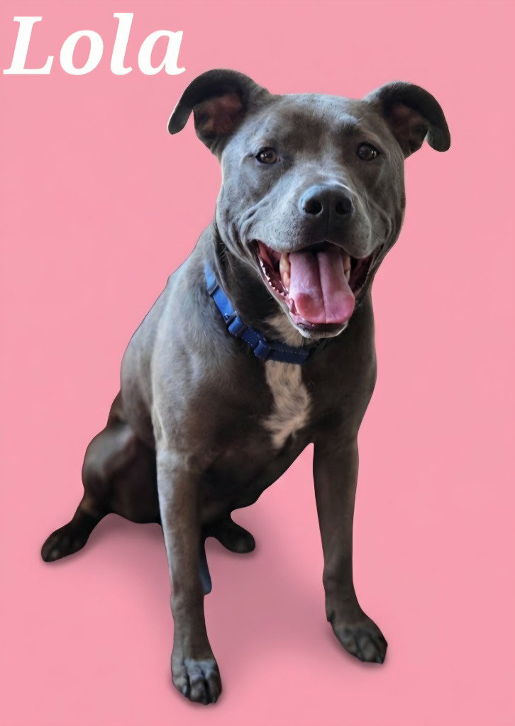 Lola (Tiana), photo 2
